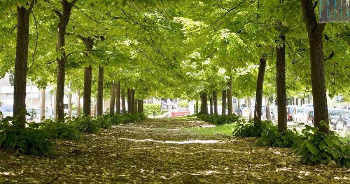 Strade strette, colori caldi, verde ovunque: � il "villaggio" di Poggiofranco bassa